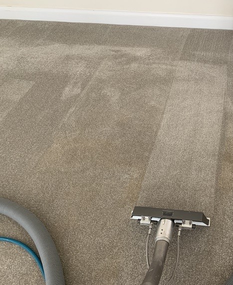 end-of-lease-carpet-cleaning-markham.jpg
