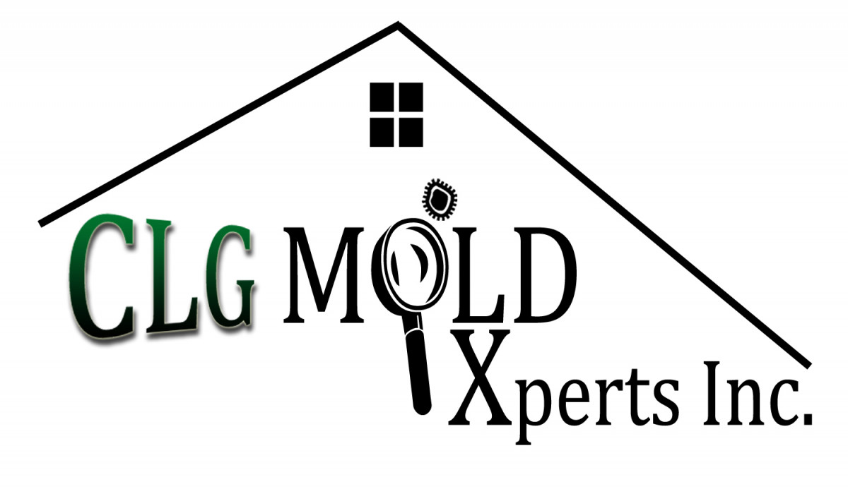 CLG Mold Xperts
