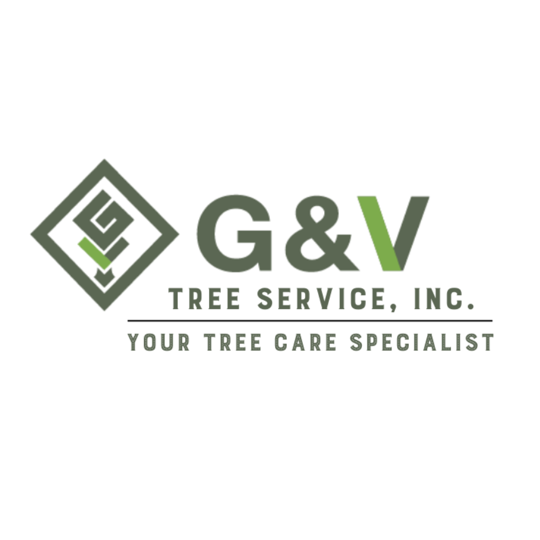 G&V Tree Service