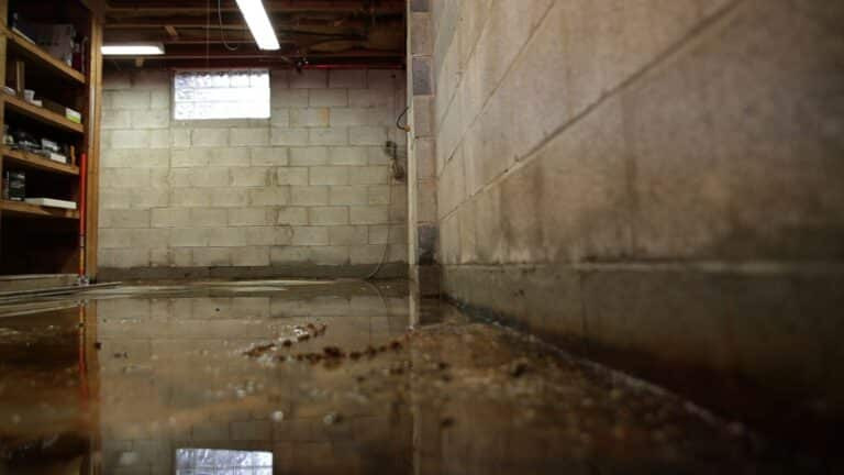Flooded-basement-interior-2k-4-768x432 (1).jpg