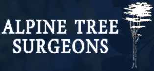 Alpine Tree Surgeons - Southampton