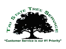 Tri-State Tree Service