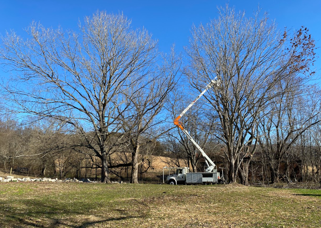 Screenshot 2022-10-04 081209.png