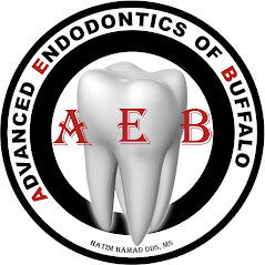 Advanced Endodontics of Buffalo