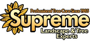Supreme Tree Experts