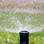 Lawn Sprinkler Spring Startups.jpg