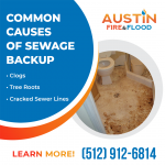 Austin Fire and Flood Graphic 5 (3).png
