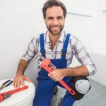 toiletplumbing.jpg