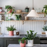 houseplants.jpg