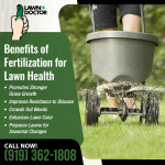 Lawn Doctor 1 (ver 1).jpg