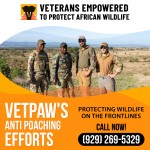 Anti-Poaching-Efforts-2.jpg