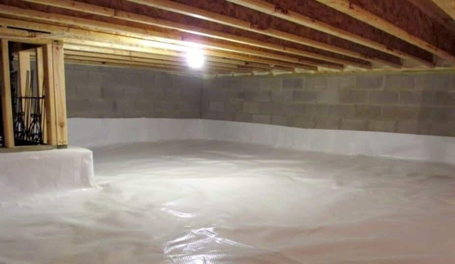 The Musty Smell in Your Crawl Space: Mold Alert