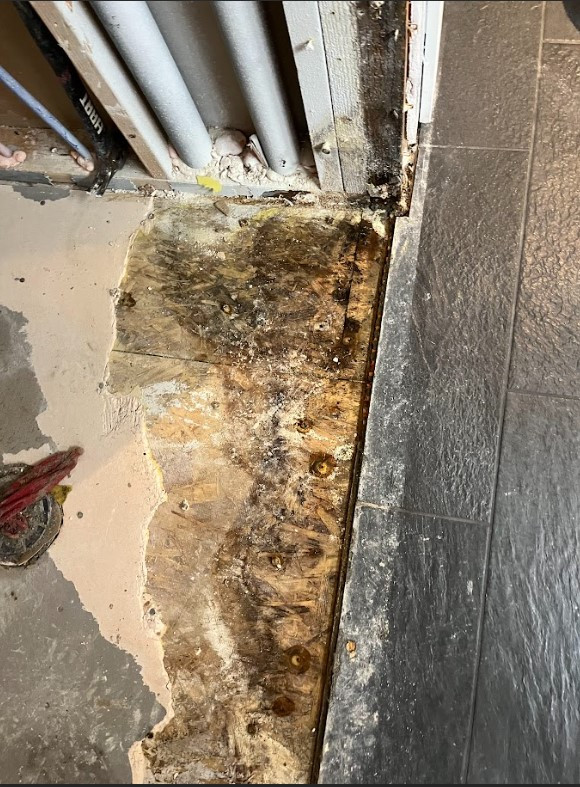 Water Damage and Mold in Bathroom Remodel, DirCore Restoration, Meridian Idaho