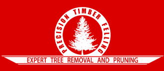 Precision Timber Felling