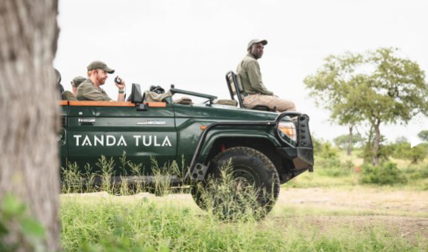 Safari Camp
