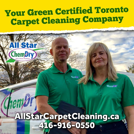 Elevate Your Rugs with Expert Cleaning Services at All Star ChemDry