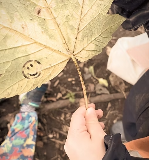 Early Years Education