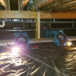 dry out water damage