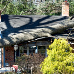 windstorm_damage.jpg