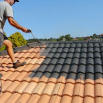 roof painter.JPG