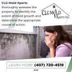 CLGM-0623-(1).png