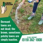 Lawn Doctor 1.jpg
