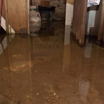 basement-flooding_dc99adb78c0d8dbe053a7a9746a153eb.jpg