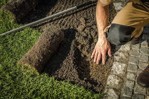 Homeowners Choose Daily Landscaping for Premium Sod in Butler County