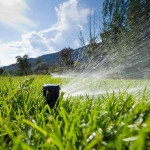 sprinklers.jpg