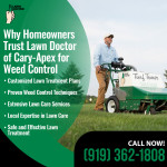 Lawn Doctor 2.jpg