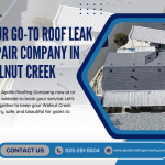 roof leak repair company in Walnut Creek.png