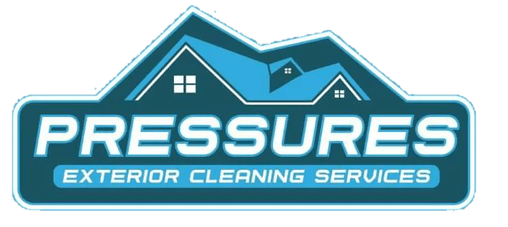 Driveway Cleaning in New Kent, VA After Winter Weather Damage