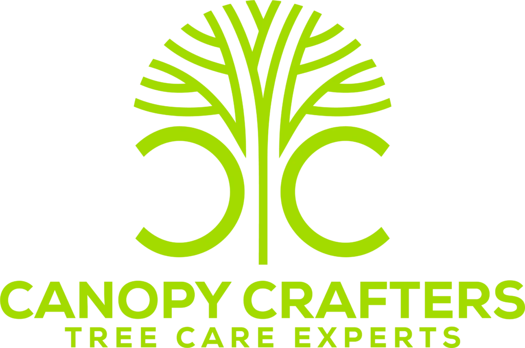 Canopy Crafters - Tree Care Experts