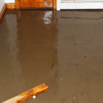 flood Restoration Spanish Fork.png