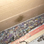 baseboard water damage remediation 2.jpg