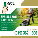 Lawn Doctor 2.png