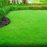 Why Lawn Maintenance in Cumming, GA, Saves You Time and Keeps Your Yard Pristine.jpg