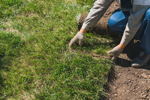 Daily Landscaping Ranked Top Sod Installation Company in Butler County