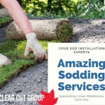 Clear Cut Group - Blog Post - 12 Steps.jpg