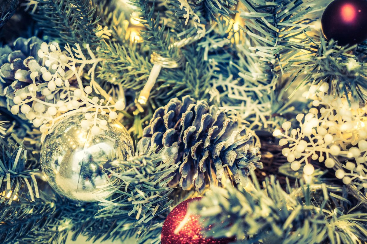 Premium Christmas Tree Delivery Now Available in NYC