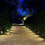 the-best-pathway-lighting-designs-for-safety-and-style-in-raleigh-nc-ezgif.com-webp-to-jpg-converter.jpg