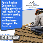 Apollo Roofing Company San Francisco 5 (2).jpg