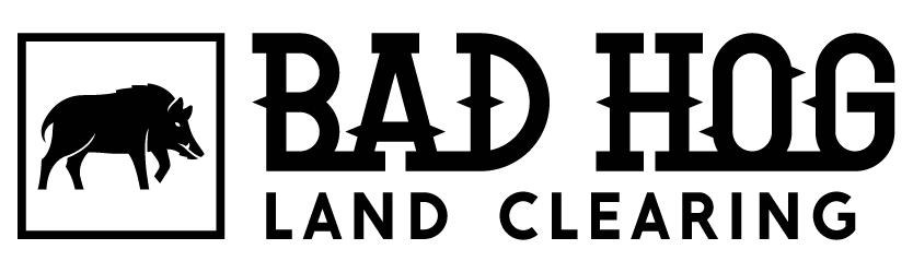 What Property Owners Need to Know About Land Clearing in San Marcos, TX