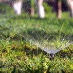 ezgif.com-webp-to-jpg-converter (3).jpg