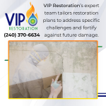 VIP Restoration Expert Team Tailors Restoration Plan.png