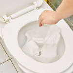 flushwithcaution.jpg