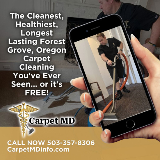 carpet md 