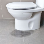 doesthetoiletneedrepairs.jpg