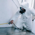 why-pest-control-is-crucial-for-residents-in-cumming-ga-protecting-your-home-and-health-ezgif.com-webp-to-jpg-converter.jpg