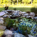 Landscaping Design Ideas.jpg